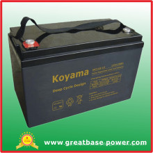 Long Self Life, Easy Storage Deep Cycle Battery DC110-12 (110ah 12V)